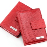 Шкіряні візитниці (61 фото): жіночі кишенькові моделі з логотипом з шкіри для пластикових і дисконтних карт