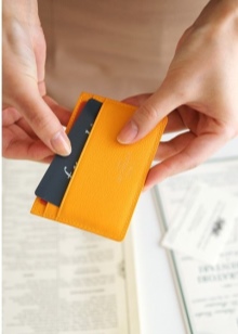 Шкіряні візитниці (61 фото): жіночі кишенькові моделі з логотипом з шкіри для пластикових і дисконтних карт