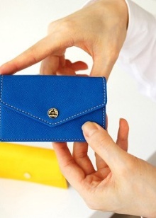 Шкіряні візитниці (61 фото): жіночі кишенькові моделі з логотипом з шкіри для пластикових і дисконтних карт