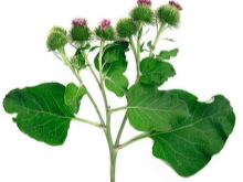 Шкарпетки SOSU (55 фото): японські шкарпетки для педикюру, інструкція та відгуки