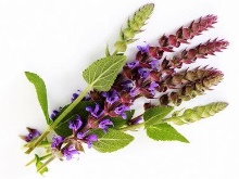 Шкарпетки SOSU (55 фото): японські шкарпетки для педикюру, інструкція та відгуки