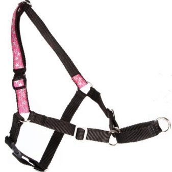 Шлея для собак (50 фото): як правильно надіти її на собак великих, середніх і дрібних порід? Як вибрати шлейку?