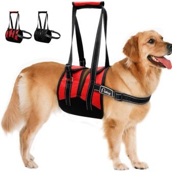 Шлея для собак (50 фото): як правильно надіти її на собак великих, середніх і дрібних порід? Як вибрати шлейку?