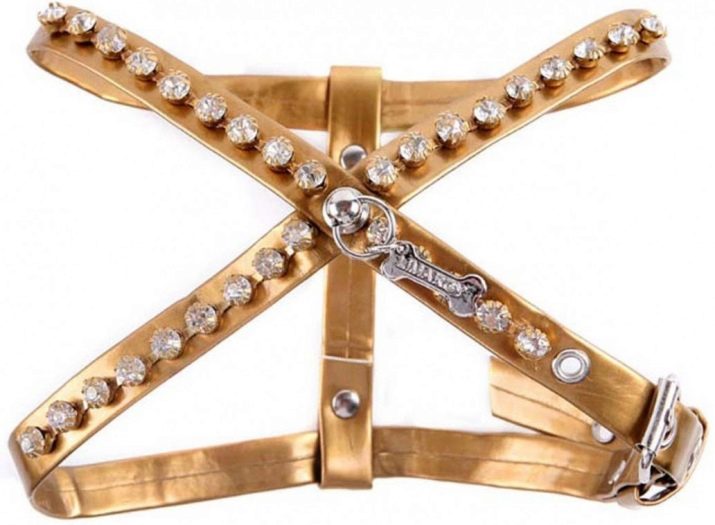 Шлея для собак (50 фото): як правильно надіти її на собак великих, середніх і дрібних порід? Як вибрати шлейку?