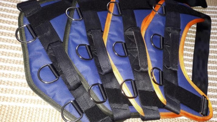 Шлея для собак (50 фото): як правильно надіти її на собак великих, середніх і дрібних порід? Як вибрати шлейку?