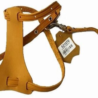 Шлея для собак (50 фото): як правильно надіти її на собак великих, середніх і дрібних порід? Як вибрати шлейку?