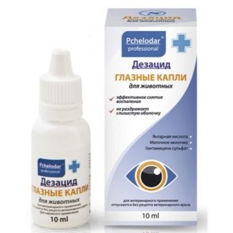 Шотландські висловухі коти рудого забарвлення (22 фото): особливості забарвлення, опис породи, тонкощі догляду за дорослими котами та кошенятами