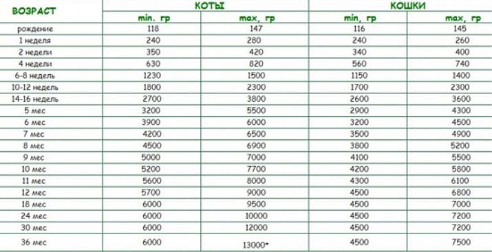 Сколько должна весить месяца. Вес котенка Мейн куна по месяцам таблица. Нормы веса котят по месяцам таблица. Вес котенка по месяцам таблица. Вес шотландского котенка по месяцам таблица вислоухого.