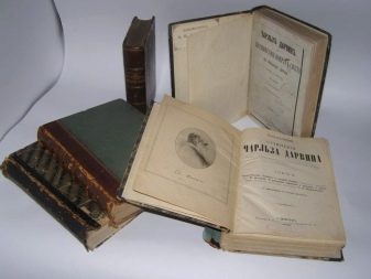 шотландська Висловуха блакитна кішка (22 фото): опис породи та особливості забарвлення. З яким кольором очей народжуються?