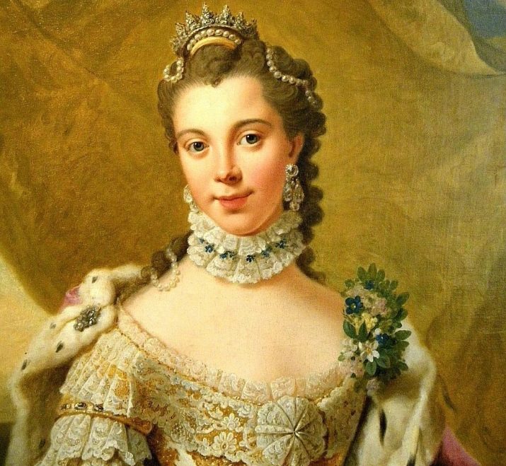 Шпіц лисячого типу (25 фото): опис померанских і німецьких лисичок. Чим вони відрізняються від цуценят-ведмежат?