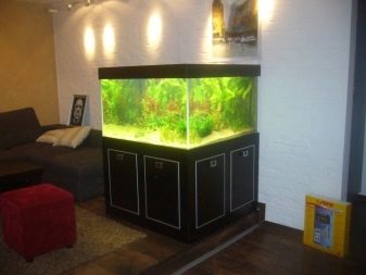 Штучний акваріум (31 фото): вибираємо декоративний акваріум з рибками, сухий акваріум в інтер’єрі