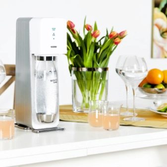 Сифон для газування води (33 фото): як користуватися пристроєм для газованої води в домашніх умовах? Як працює побутової сифон для приготування газованих напоїв?