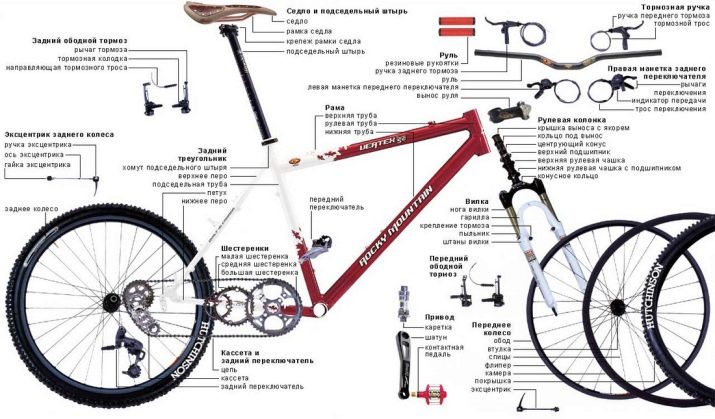 Складаний фэтбайк: вибираємо велосипеди з колесами 20 і 26 дюймів від Hummer і інших брендів