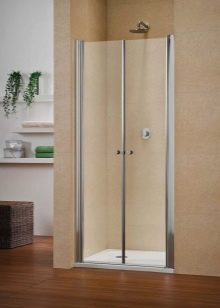 Скляні душові двері: розміри дверей зі скла для душу. Матові напівкруглі двері з малюнком і інші варіанти