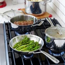 Сковороди з нержавіючої сталі: опис сталевих сковорідок з товстим дном без покриття і інших видів. Відгуки