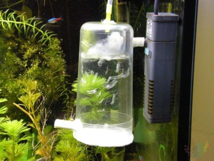 СО2 для акваріума (23 фото): як зробити систему СО2 для акваріума своїми руками? Для чого потрібна сода і лимонна кислота? Як використовувати дропчекер?