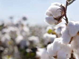 Спандекс (29 фото): що це таке? Відмінність тканини від еластану та лайкри. Тягнеться чи ні? Застосування в одязі. Відгуки про матеріалі