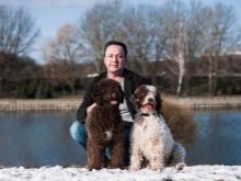 Іспанська водяна собака (26 фото): особливості породи. Плюси і мінуси. Характер цуценят. Правила утримання собак