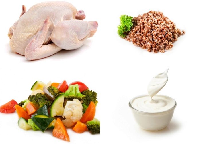 Срібляста британська шиншила (22 фото): характер кішок, короткошерсті і довгошерсті кошенята. Зміст срібних британських котів