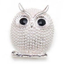 Срібні брошки (90 фото): моделі з натуральними каменями, з сапфіром, бурштином, перлами і хризопразом з срібла