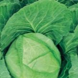 Срібна посуд (22 фото): користь і шкода тарілок з срібла. Як вибрати набір? Як почистити посріблену посуд в домашніх умовах?