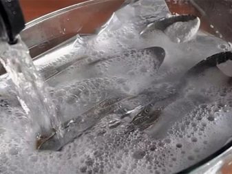 Срібна посуд (22 фото): користь і шкода тарілок з срібла. Як вибрати набір? Як почистити посріблену посуд в домашніх умовах?