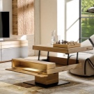 Стіл-трансформер для вітальні (62 фото): розкладні обідні круглі столи і розсувні столи-тумби, складні столи-консолі і інші моделі в зал