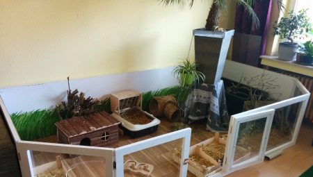 Стелаж для морських свинок (19 фото): як зробити стелаж-клітку? Як вибрати розміри?