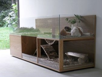 Стелаж для морських свинок (19 фото): як зробити стелаж-клітку? Як вибрати розміри?