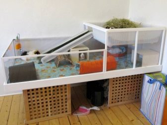 Стелаж для морських свинок (19 фото): як зробити стелаж-клітку? Як вибрати розміри?
