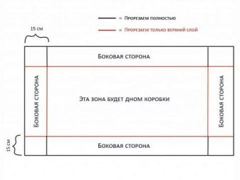 Стелаж для морських свинок (19 фото): як зробити стелаж-клітку? Як вибрати розміри?