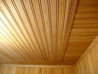 Стеля в туалеті (63 фото): натяжна однотонний і кольоровий стелю, обробка рейковими пластиковими панелями, підвісна стеля з гіпсокартону і інші варіанти