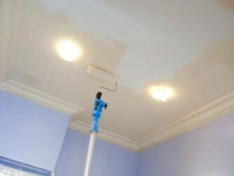 Стеля в туалеті (63 фото): натяжна однотонний і кольоровий стелю, обробка рейковими пластиковими панелями, підвісна стеля з гіпсокартону і інші варіанти
