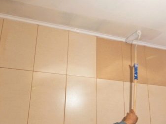 Стеля в туалеті (63 фото): натяжна однотонний і кольоровий стелю, обробка рейковими пластиковими панелями, підвісна стеля з гіпсокартону і інші варіанти