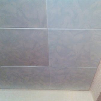 Стеля в туалеті (63 фото): натяжна однотонний і кольоровий стелю, обробка рейковими пластиковими панелями, підвісна стеля з гіпсокартону і інші варіанти