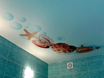 Стеля в туалеті (63 фото): натяжна однотонний і кольоровий стелю, обробка рейковими пластиковими панелями, підвісна стеля з гіпсокартону і інші варіанти
