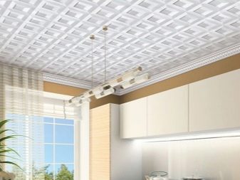 Стеля з панелей на кухні (63 фото): панельні стельові конструкції з ПВХ, МДФ, пластикові та інші, варіанти дизайну