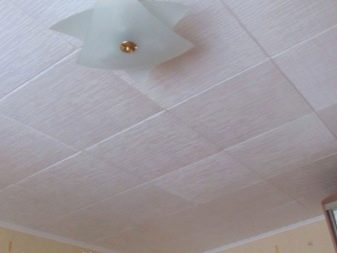 Стеля з панелей на кухні (63 фото): панельні стельові конструкції з ПВХ, МДФ, пластикові та інші, варіанти дизайну