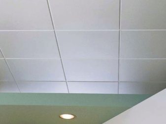Стеля з панелей на кухні (63 фото): панельні стельові конструкції з ПВХ, МДФ, пластикові та інші, варіанти дизайну