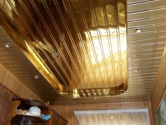 Стеля з панелей на кухні (63 фото): панельні стельові конструкції з ПВХ, МДФ, пластикові та інші, варіанти дизайну
