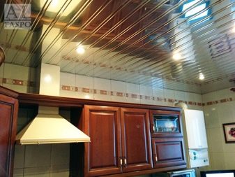 Стеля з панелей на кухні (63 фото): панельні стельові конструкції з ПВХ, МДФ, пластикові та інші, варіанти дизайну