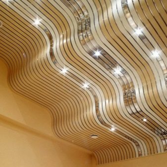 Стеля з панелей на кухні (63 фото): панельні стельові конструкції з ПВХ, МДФ, пластикові та інші, варіанти дизайну