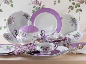 Столовий сервіз на 12 персон: огляд обідніх наборів посуду виробництва Чехії, Німеччини та інших. Особливості чайних наборів з фарфору