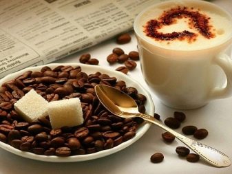 Історія ложки: народження столового приладу. Як з’явилася ложка? Хто винайшов ложку?