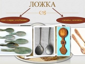 Історія ложки: народження столового приладу. Як з’явилася ложка? Хто винайшов ложку?