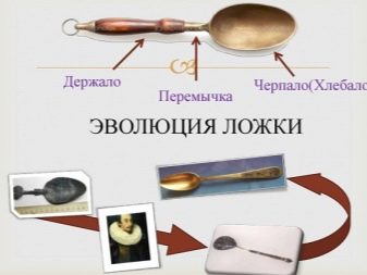 Історія ложки: народження столового приладу. Як з’явилася ложка? Хто винайшов ложку?
