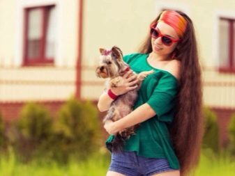 Історія походження породи йоркширський тер’єр: коли і де з’явилася порода?