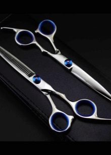 Стрижка дебют з чубчиком на середні і короткі волосся (28 фото): особливості створення зачісок, тонкощі укладання