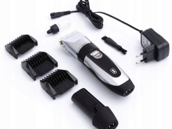 Стрижка кокер-спанієля (25 фото): як підстригти кокера в домашніх умовах машинкою? Види і схеми стрижок