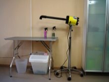 Стрижка кокер-спанієля (25 фото): як підстригти кокера в домашніх умовах машинкою? Види і схеми стрижок